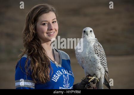 A USAF Academy Falconry Team cadet trains her gyr-saker falcon Ziva at the U.S. Air Force Academy January 13, 2017 in Colorado Springs, Colorado. Stock Photo