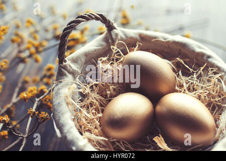 Three golden eggs in a basket filled with straw and some yellow floral branches in the backgorund Stock Photo