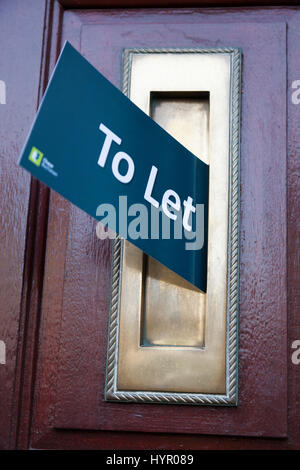 Estate agent / agents To Let rental / rentals marketing junk mail through a letter box. UK. House door is property released; leaflet is not released. Stock Photo