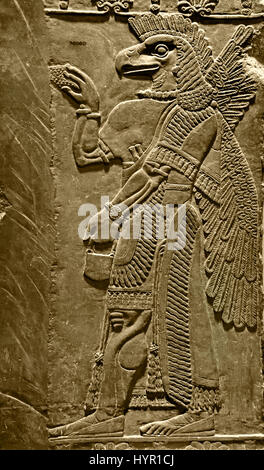 Eagle Headed Protective Spirit from the Temple of Ninurta ( Sumerian and the Akkadian god of law, scribes, farming, and hunting. He was worshipped in Babylonia and Assyria and in Lagash.) Royal Palace of Ashurnasirpal II Nimrud 883–859 B.C. Mesopotamia Iraq Kalhu Assyria Stock Photo