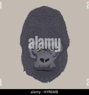 engraving style vector hand drawing gorilla head Stock Vector