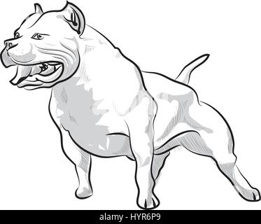 Vector sketch hand drawing illustration pitbull barking Stock Vector