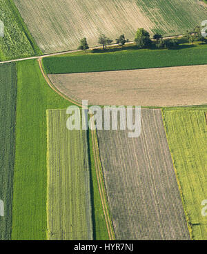 Freshly plowed and sowed farming land from above, neatly cultivated in non-urban agricultural area, textured effect and background. Food production in Stock Photo