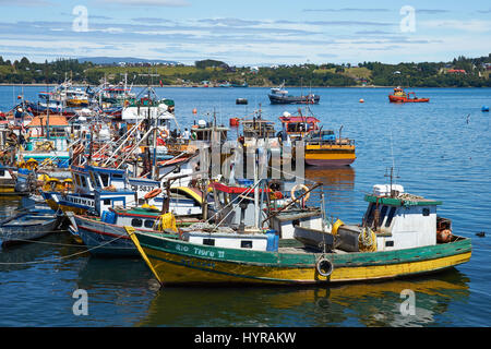 Colourful fishing boats crowding the fishing port of Quellon on the island of Chiloe in Chile Stock Photo