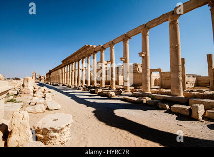 Palmyra. A THOUGHT-PROVOKING series of images by a British photographer have been released showing what Syria was like just before its six-year civil war broke out. The stunning collection of photographs shows Aleppo’s citadel which is now is ruins, the destroyed Roman Theatre and ancient tetrapylon historical ruins of Palmyra and the stunning UNESCO world heritage site of the Umayyad mosque, Aleppo which was built between the 8th and 13th centuries. Other pictures show a couple of carefree boys having a water fight in the street, people relaxing in Aleppo’s juice bars and traffic in Homs goin Stock Photo