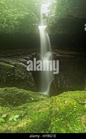 Mayei Cave The Cave Where The Wind Is Born (Cueva Donde Nace El Viento) In Ecuadorian Amazonia Waterfall Entrance Stock Photo