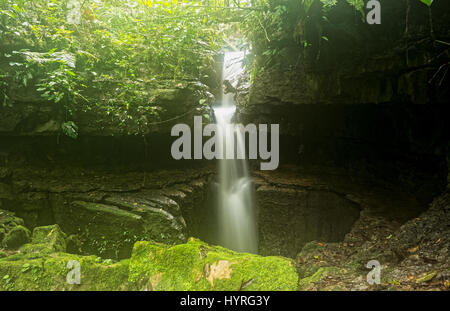Mayei Cave The Cave Where The Wind Is Born (Cueva Donde Nace El Viento) In Ecuadorian Amazonia Waterfall Entrance Stock Photo