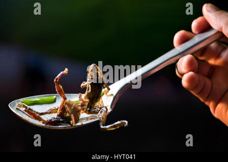 Horizontal close up of deep fried frogs for sale to eat in Cambodia. Stock Photo