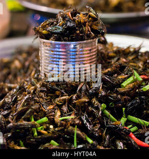 Square close up of deep fried crickets for sale to eat in Cambodia. Stock Photo