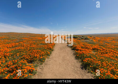 Dirt path at the Antelope Valley California Poppy Reserve State Park. Stock Photo