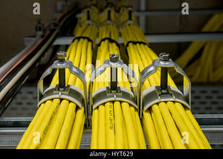 Yellow network cables with assured with cable clips Stock Photo