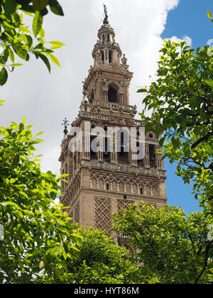 View looking up at the Giralda bell tower of Seville Cathedral in Spain Stock Photo