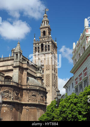 View looking up at the Giralda bell tower of Seville Cathedral in Spain Stock Photo