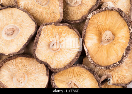 Dried shiitake mushrooms food background Stock Photo