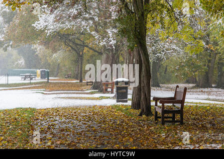 Snowfall on cold day, autumn. View of tree-lined park path, covered in snow & leaves - Riverside Gardens, Ilkley, West Yorkshire, England, GB, UK. Stock Photo