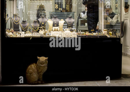 ISTANBUL, TURKEY - DECEMBER 28, 2015: Ginger cat in front of a Jewelry store in the Grand Bazaar  Picture of a ginger cat in front of the Grand Bazaar Stock Photo
