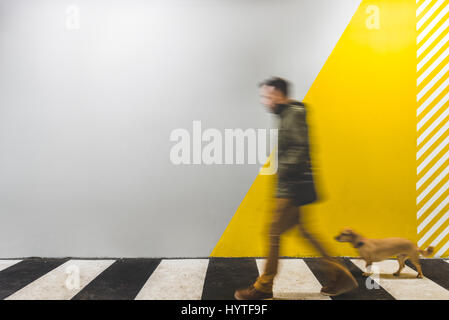 Man with a small yellow dog walking on underground passage mark with zebra crossing Stock Photo