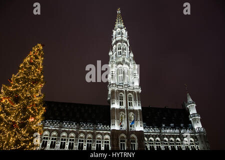 Holiday Season's Lightshow, Brussels, Belgium Stock Photo