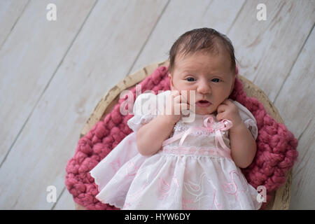 Alert, ten day old, newborn baby girl lying in a wooden bowl. She is wearing a frilly white and pink dress. Shot in the studio on a light wood backgro Stock Photo