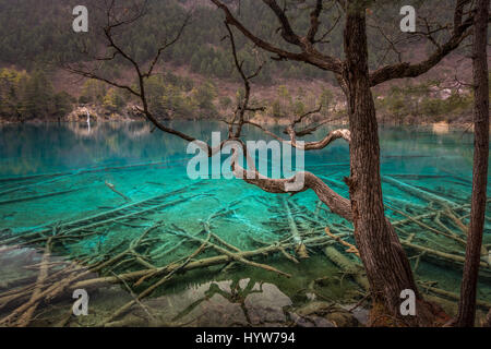 A quiet area in Spring with nobody around looking across one of the picturesque turquoise lakes of the beautiful Jiuzhaigou National Park, China Stock Photo