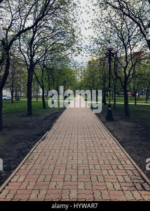 Urban road with green trees city street park background Stock Photo