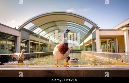 Wakehurst, UK. 7th April, 2017. Wakehurst - Royal Botanic Gardens. Launch of new exhibition at the Millennium Seed Bank - Secret Structures runs from now until March 2018. Credit: Jim Holden/Alamy Live News Stock Photo