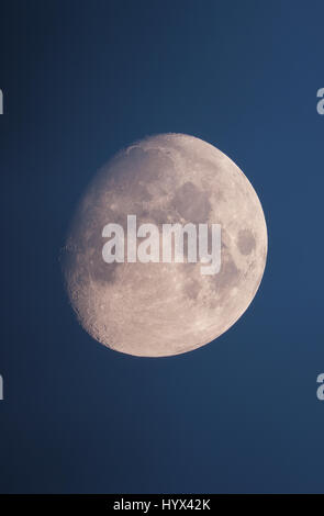 London, UK. 7th April 2017. 88.4% waxing gibbous moon in clear blue evening sky above London. Credit: Malcolm Park/Alamy Live News. Stock Photo