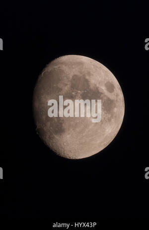 London, UK. 7th April 2017. 88.4% waxing gibbous moon in clear evening sky above London. Credit: Malcolm Park/Alamy Live News. Stock Photo