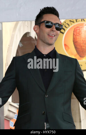 Los Angeles, CA, USA. 10th Feb, 2017. LOS ANGELES - FEB 10: Adam Levine at the Adam Levine Hollywood Walk of Fame Star Ceremony at Musicians Institute on February 10, 2017 in Los Angeles, CA Credit: Kathy Hutchins/via ZUMA Wire/ZUMA Wire/Alamy Live News Stock Photo