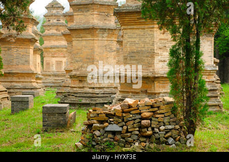 The talin buddhist pagoda forest at the shaolin temple near dengfeng city in Henan province China. Stock Photo