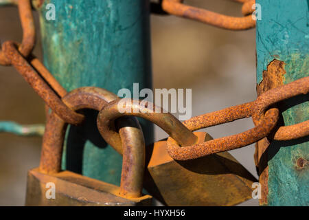 Close up on two rusty and weathered padlocks and chains holding a turquoise gate shut. Stock Photo