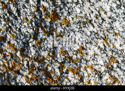 the texture of rough stone covered with tufts of yellow moss Stock Photo