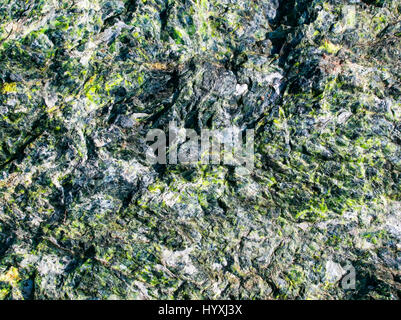 the beautiful texture of the rough stone with emerald green inclusions and various pits and tubercles Stock Photo