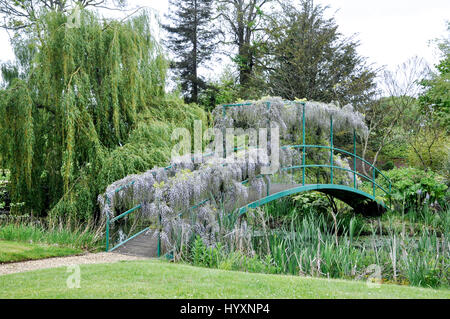 Wisteria Bridge at Highnam Court Gardens, Gloucestershire Stock Photo