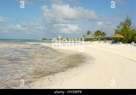 Bahamas Coco Cay Caribbean Island - Luxury beach oasis Stock Photo - Alamy