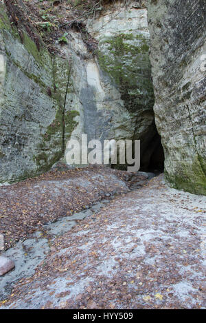 ancient sandstone cliffs with inscriptions in the Gaujas National Park, Latvia Stock Photo