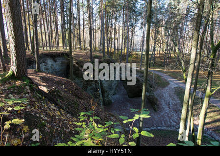 ancient sandstone cliffs with inscriptions in the Gaujas National Park, Latvia Stock Photo