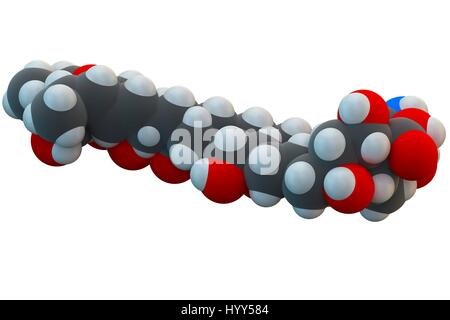 Amphotericin B antifungal drug molecule. Chemical formula is C47H73NO17. Atoms are represented as spheres: carbon (grey), hydrogen (white), nitrogen (blue), oxygen (red). Illustration. Stock Photo