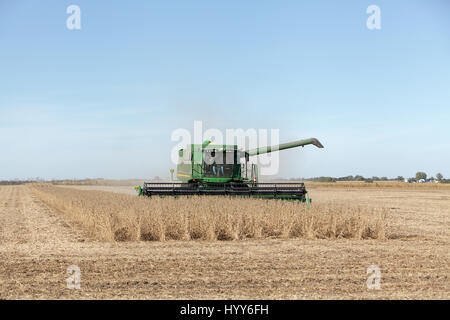2013 soybean harvest in southeastern Iowa. Stock Photo