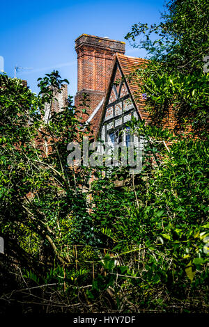 UNITED KINDOM: HAUNTING images reveal the crumbling remains of the Oxfordshire mansion – purportedly worth £12M and once owned by Pink Floyd’s David Gilmour. The eerie photographs show crockery still on display in cabinets in the dining room and crumbling walls that have collapsed into corridors, one room is home to a pool table that looks like it has been abandoned mid-game and an elaborate mural decorates the walls. Outside in the garden, weeds have taken over the patio and swamped the desolate table and chairs and some bushes have grown taller than the downstairs windows. The spooky images  Stock Photo