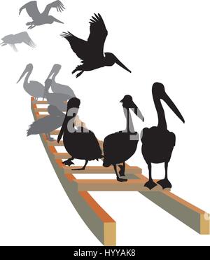 Pelicans on the ladder Stock Vector
