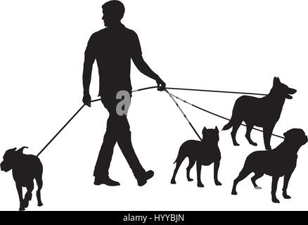 Man and four dogs Stock Vector