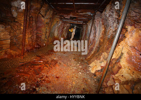 CALLINGTON, CORNWALL, UK: EERIE images reveal the Cornish mining tunnel that was once used to test explosives and research the potential impact of nuclear tests during the Cold War under the code name Operation Orpheus. The haunting pictures show inside the 2,180-foot tunnel where rusting sleepers and collapsing structures remain. Other shots, look down into an adit (entrance) and show the unsuspecting exterior of the mine where a metal gate has been closed across. The spectacular images were taken at the Excelsior Tunnel, Kit Hill, Callington, Cornwall by editor, Nat W (46) from London. To ta Stock Photo