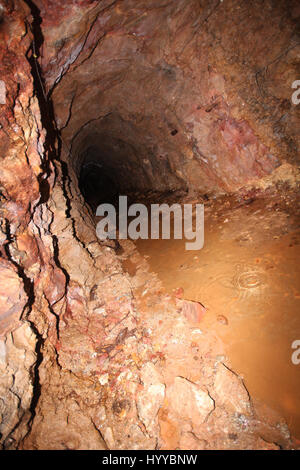 CALLINGTON, CORNWALL, UK: EERIE images reveal the Cornish mining tunnel that was once used to test explosives and research the potential impact of nuclear tests during the Cold War under the code name Operation Orpheus. The haunting pictures show inside the 2,180-foot tunnel where rusting sleepers and collapsing structures remain. Other shots, look down into an adit (entrance) and show the unsuspecting exterior of the mine where a metal gate has been closed across. The spectacular images were taken at the Excelsior Tunnel, Kit Hill, Callington, Cornwall by editor, Nat W (46) from London. To ta Stock Photo