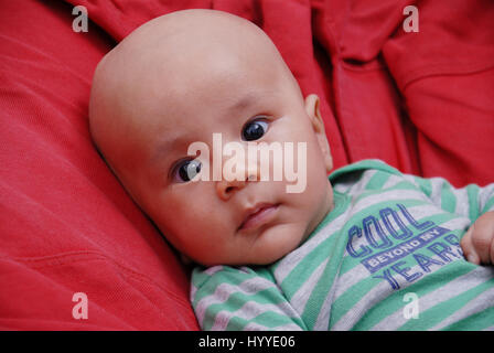 cute little baby boy Stock Photo