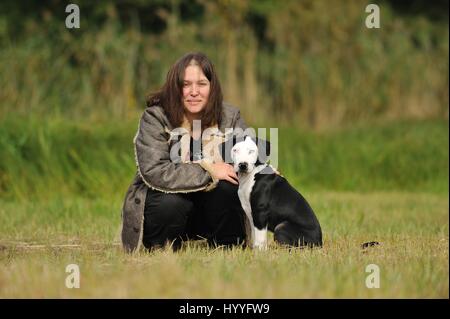 female Louisiana Catahoula Leopard Dog Stock Photo - Alamy