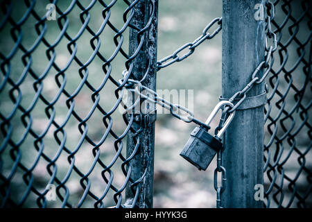 Chicken wire fence gate is locked with a chain and a lock. Toned image. Stock Photo