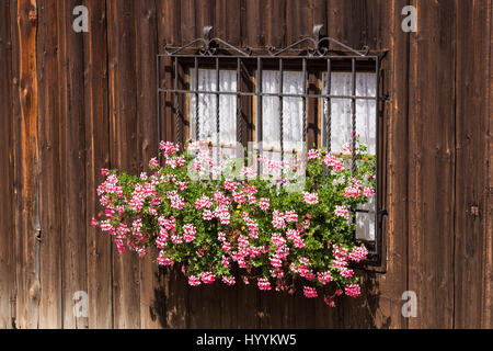 Barred window with flowers in ancient country house with rough wooden walls. Traditional wabi-sabi aesthetic worldview. Stock Photo