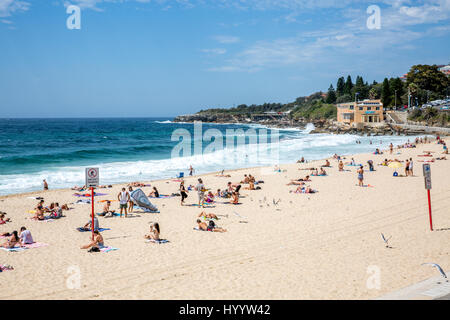Coogee beach in Sydney eastern suburbs, busy with people on a summers day,Sydney,Australia