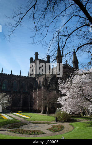 City of Chester, England. Picturesque spring view of the Cheshire Regiment Garden of Remembrance at Chester Cathedral. Stock Photo